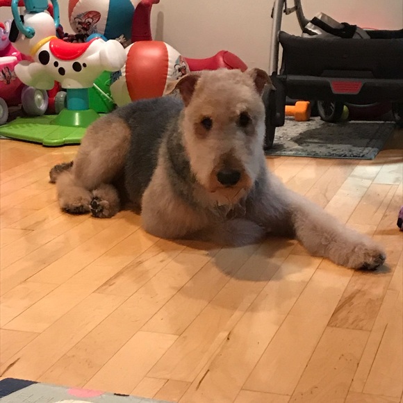 I’m Carlie, welcome to my Closet 💗 - Picture 3 of 4